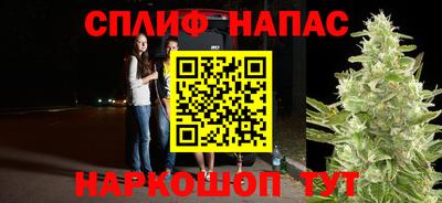 ПСИЛОЦИБИНОВЫЕ ГРИБЫ Коммунар