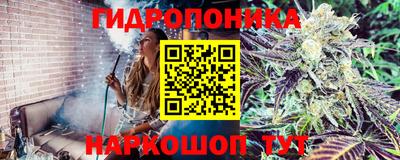 ПСИЛОЦИБИНОВЫЕ ГРИБЫ Коммунар