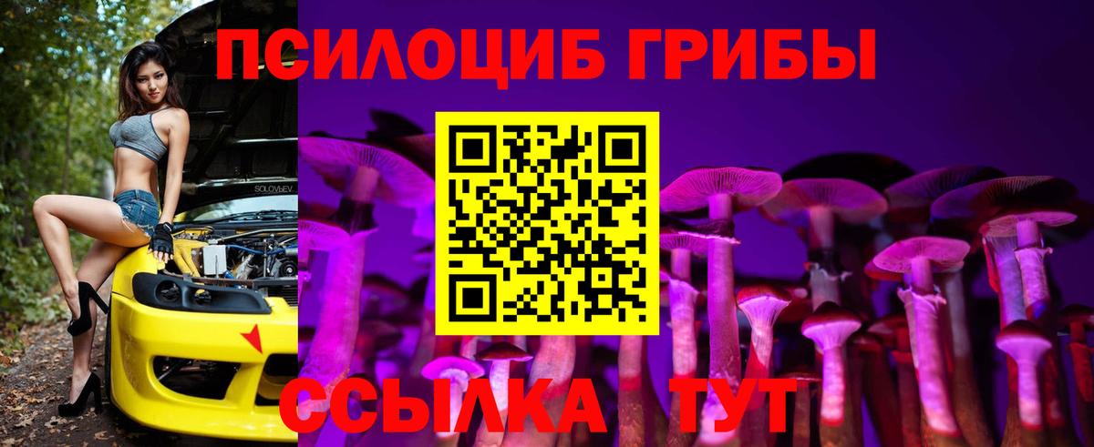купить наркоту  Галлюциногенные грибы Magic Shrooms  Вход с VPN  Кизляр  Галлюциногенные грибы Cubensis 
